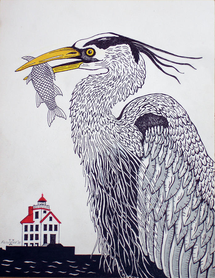 697x900 blue heron drawing - Blue Heron Drawing