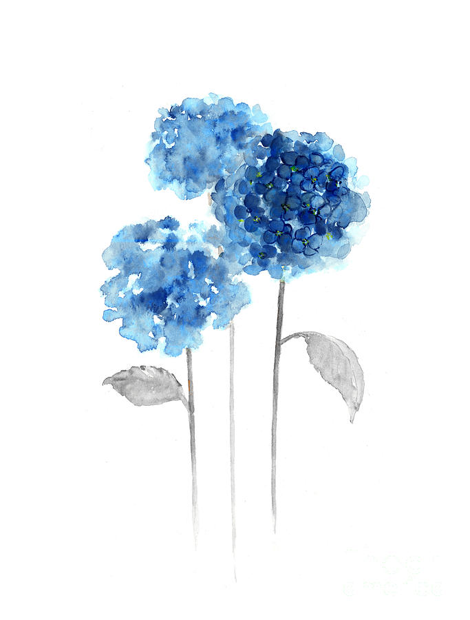 683x900 Blue Hydrangea Art Print Painting - Blue Hydrangea Drawing