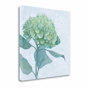 300x300 Blue Hydrangea I - Blue Hydrangea Drawing