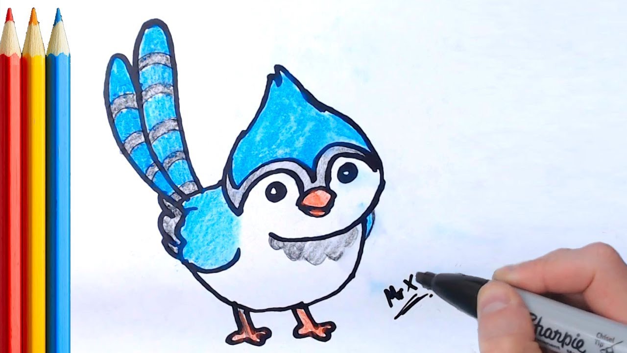 1280x720 how to draw blue jay bird - Blue Jay Bird Drawing
