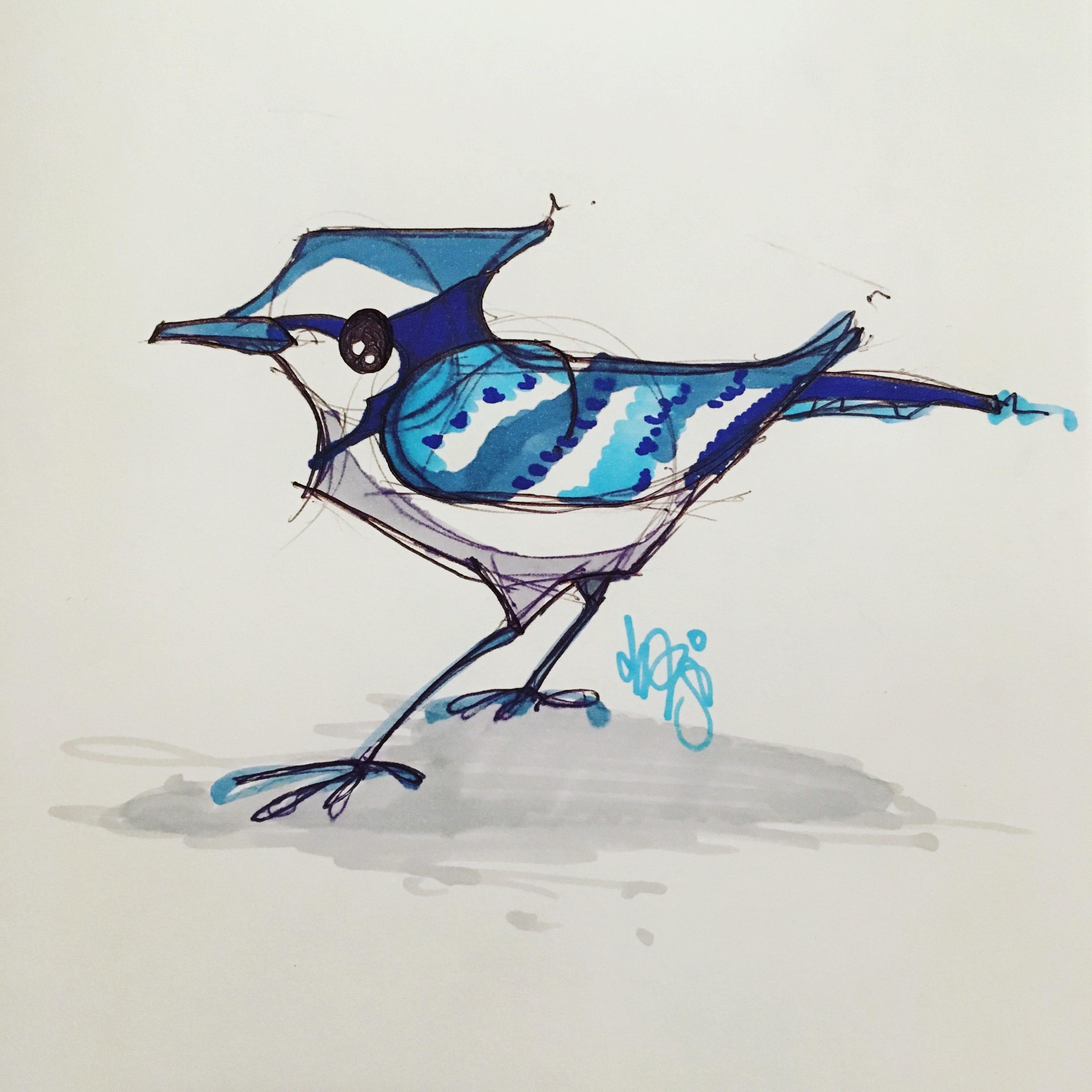 3024x3024 Since You All Were So Kind To My Raccoon Drawing, I Drew A Blue - Blue Jay Drawing