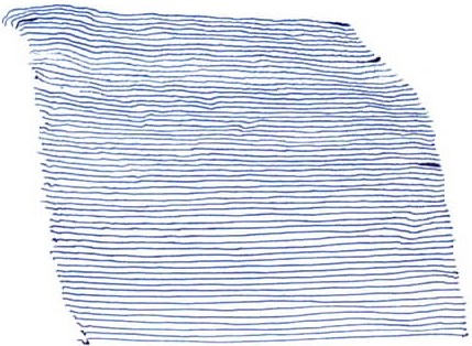 429x314 Drawings - Blue Line Drawing