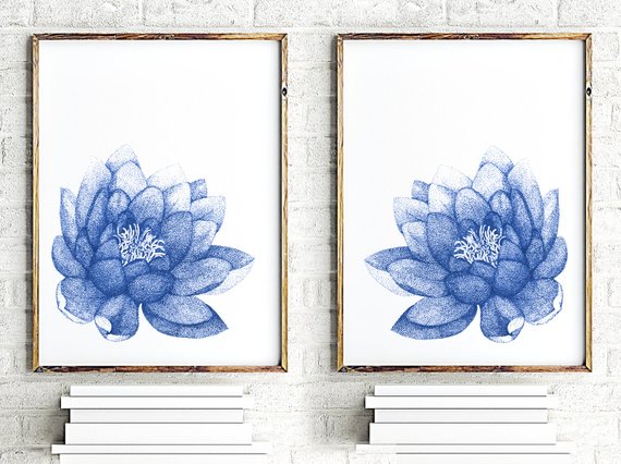 570x426 Navy Blue Lotus Set Of Flowers Art Print Water Lily Etsy - Blue Lotus Flower Drawing