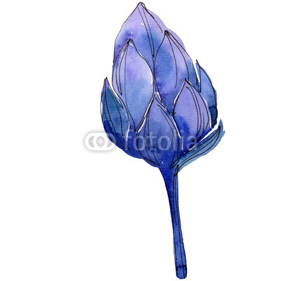 400x400 wildflower watercolor blue lotus flower floral botanical flower - Blue Lotus Flower Drawing