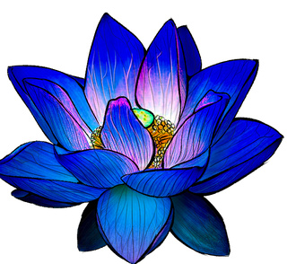320x294 my sister wanted me to draw her a lotus because shes getting - Blue Lotus Flower Drawing