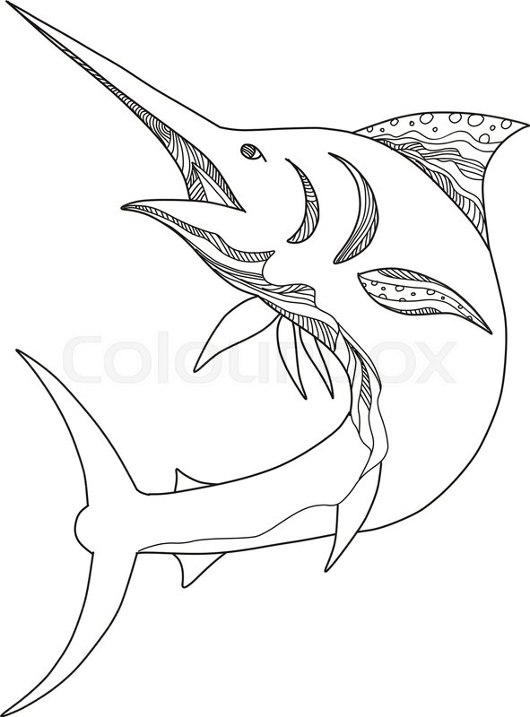 591x800 doodle art illustration of an atlantic stock vector colourbox - Blue Marlin Drawing
