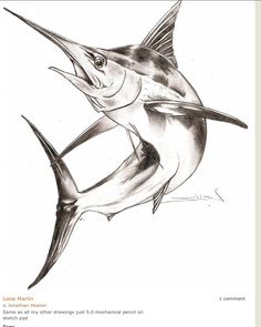 236x295 marlin clipart pictures i want to paint fish drawings, fish - Blue Marlin Drawing