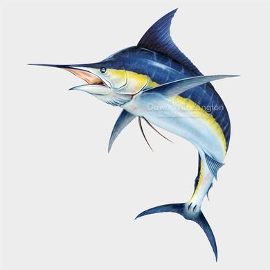 Blue Marlin Drawing at PaintingValley.com | Explore collection of Blue ...