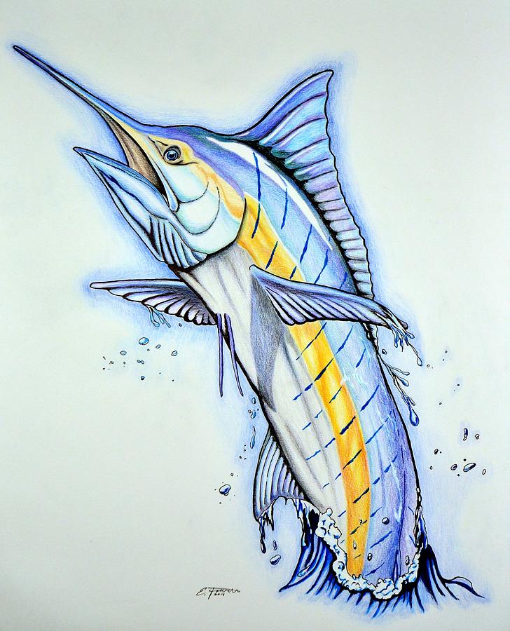 Blue Marlin Drawing at Explore collection of Blue