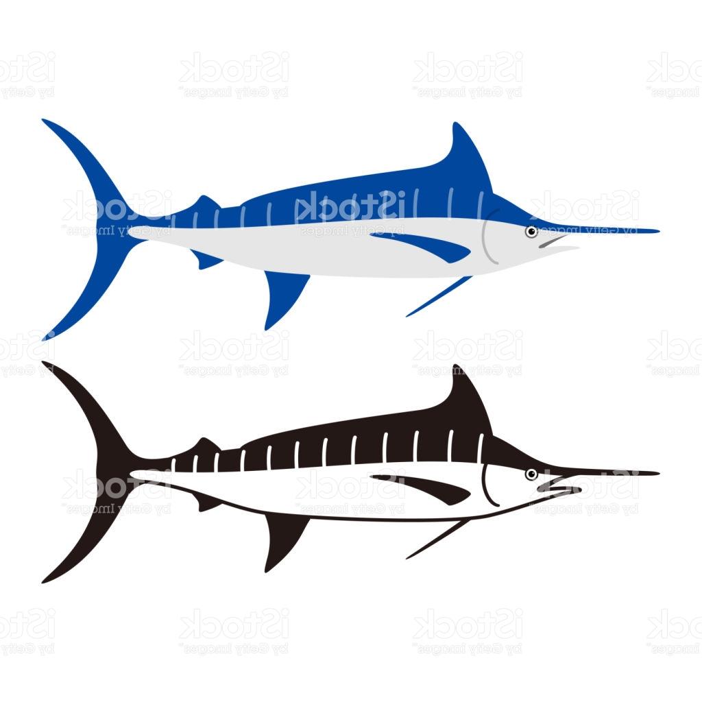 1024x1024 top atlantic blue marlin fish vector illustration drawing - Blue Marlin Drawing