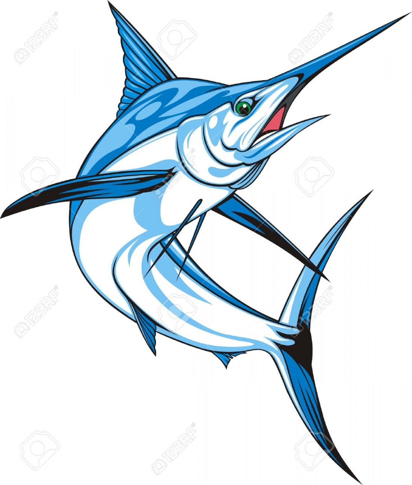 1323x1560 best photonatural blue marlin on the white background drawing - Blue Marlin Drawing