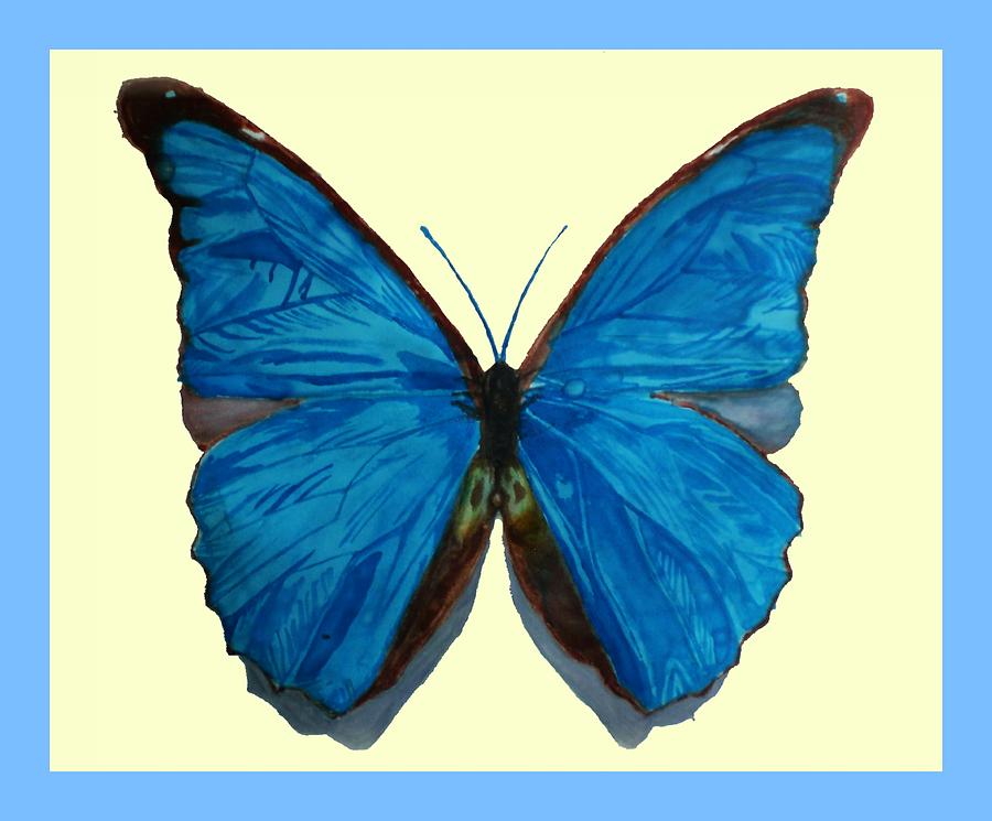 900x745 the blue morpho butterfly drawing - Blue Morpho Butterfly Drawing