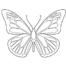 230x230 top free printable butterfly coloring pages online - Blue Morpho Butterfly Drawing