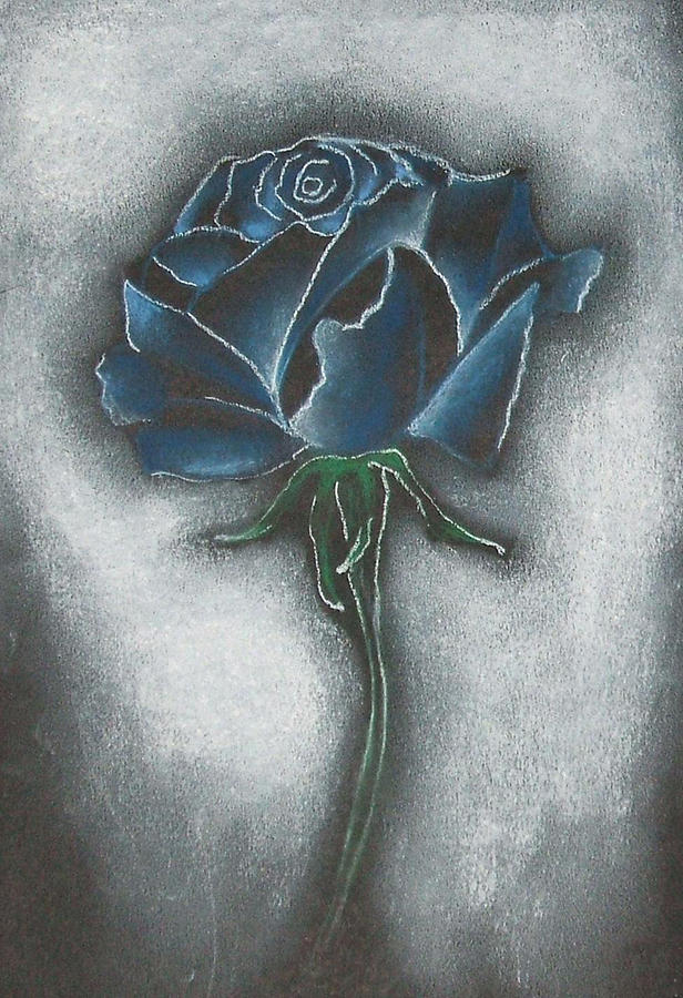 616x900 Blue Rose Drawing - Blue Rose Drawing