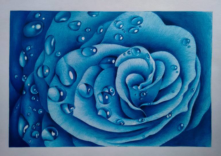 770x543 Blue Rose Drawing - Blue Rose Drawing