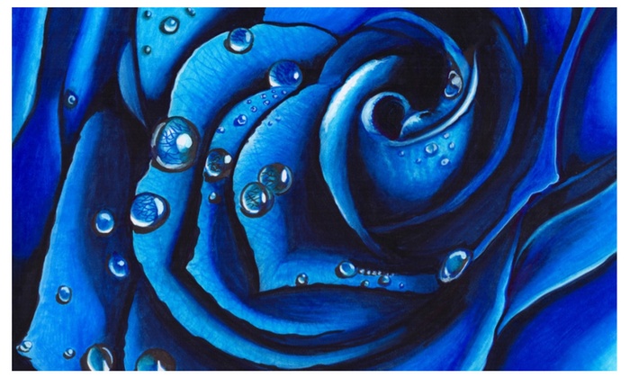 700x420 blue rose marker drawing prints different sizes available groupon - Blue Rose Drawing