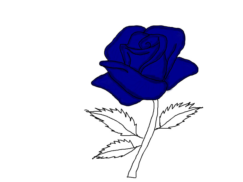 800x600 Blue Rose A Still Life Speedpaint Drawing - Blue Rose Drawing
