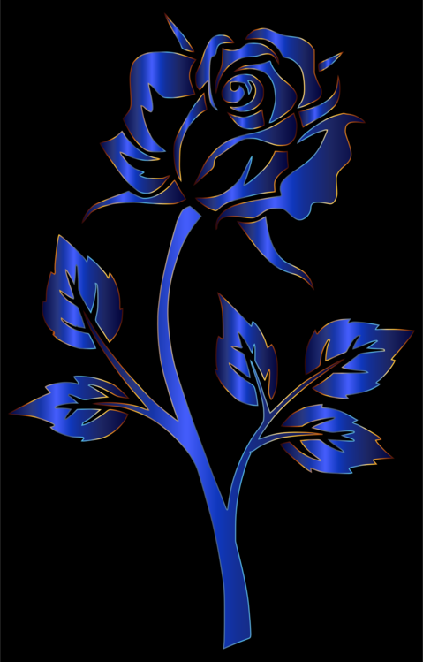 479x749 Blue Rose Drawing Silhouette Cc0 - Blue Rose Drawing