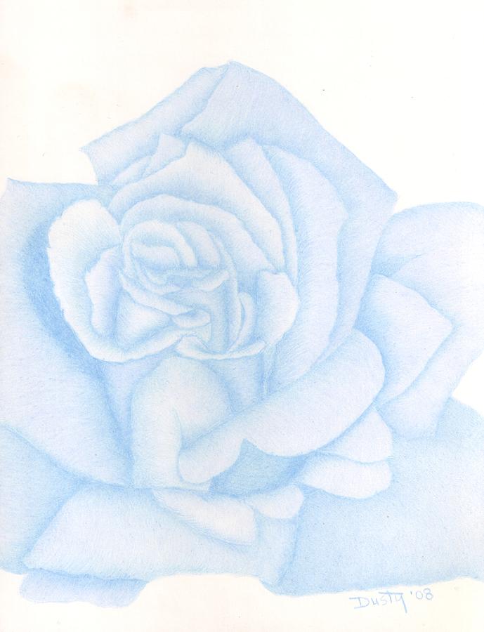 689x900 Crystal Blue Rose Drawing - Blue Rose Drawing