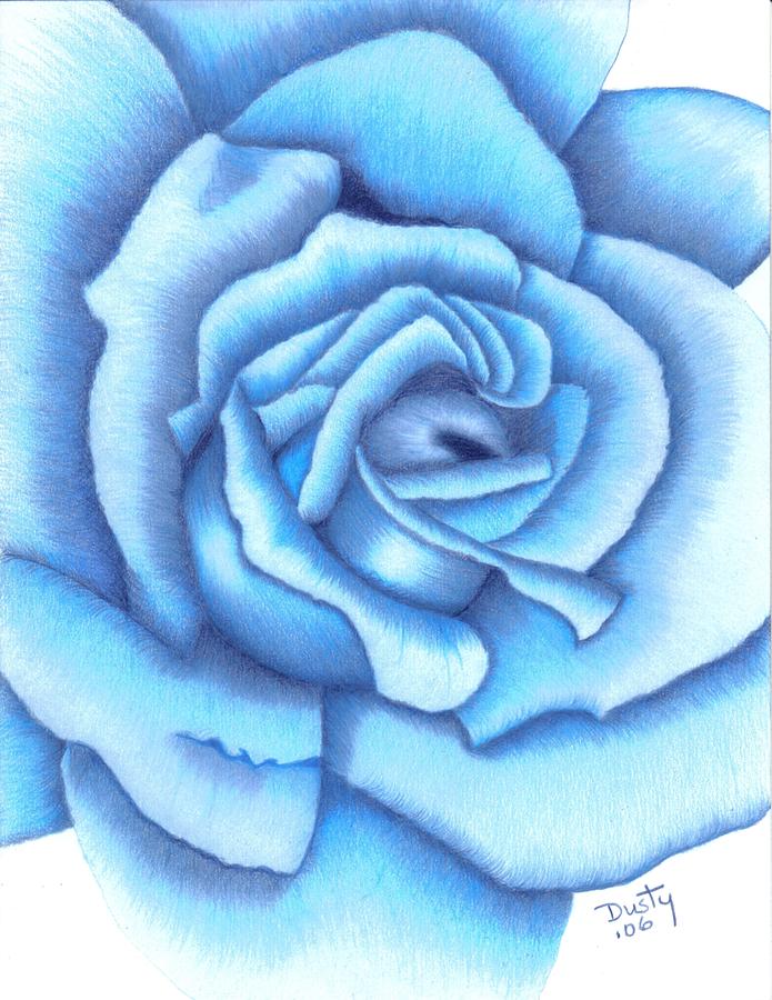695x900 Diamond Blue Rose Drawing - Blue Rose Drawing