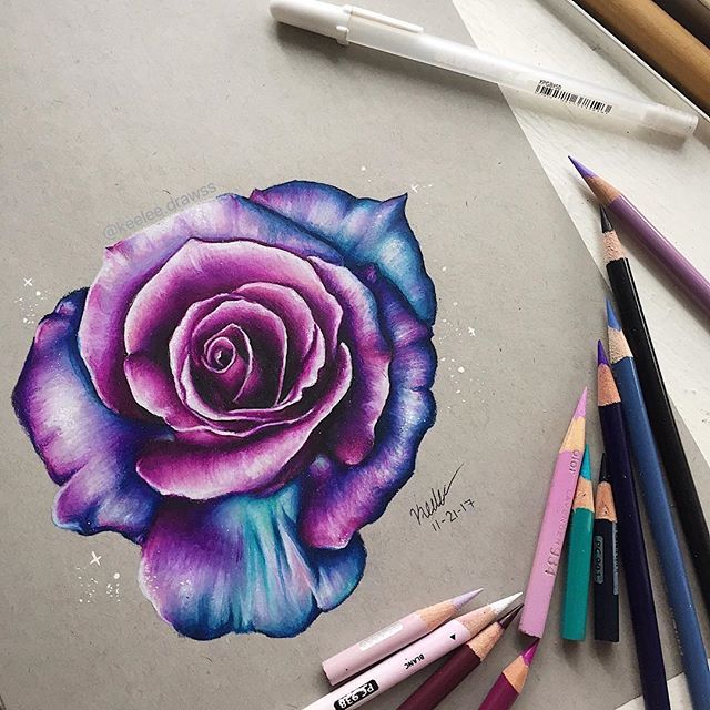 640x640 hello everyone! here's this pinkpurplelue rose drawing i did - Blue Rose Drawing