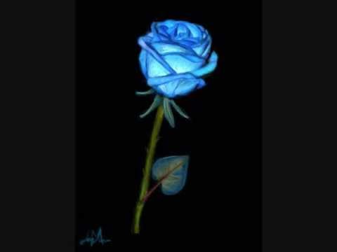 480x360 How To Draw A Rose - Blue Rose Drawing