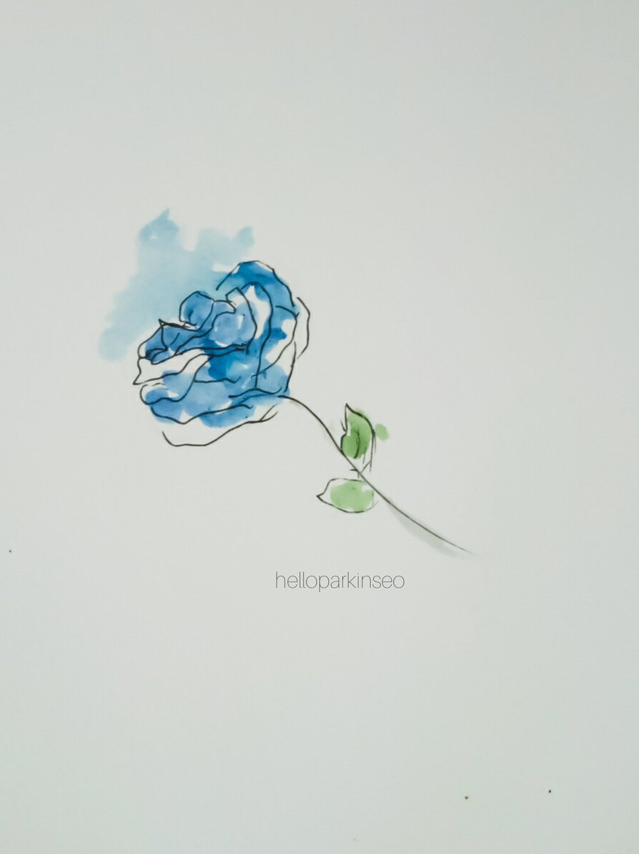 899x1200 Ita On Twitter Late Night Drawing, Blue Rose - Blue Rose Drawing
