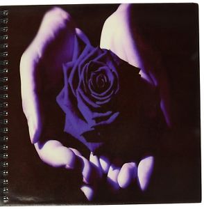 294x300 X Blue Rose In Palm Of Hands Drawing Book Pages - Blue Rose Drawing