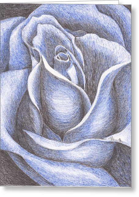 455x646 A Blue Rose Drawing - Blue Rose Drawing