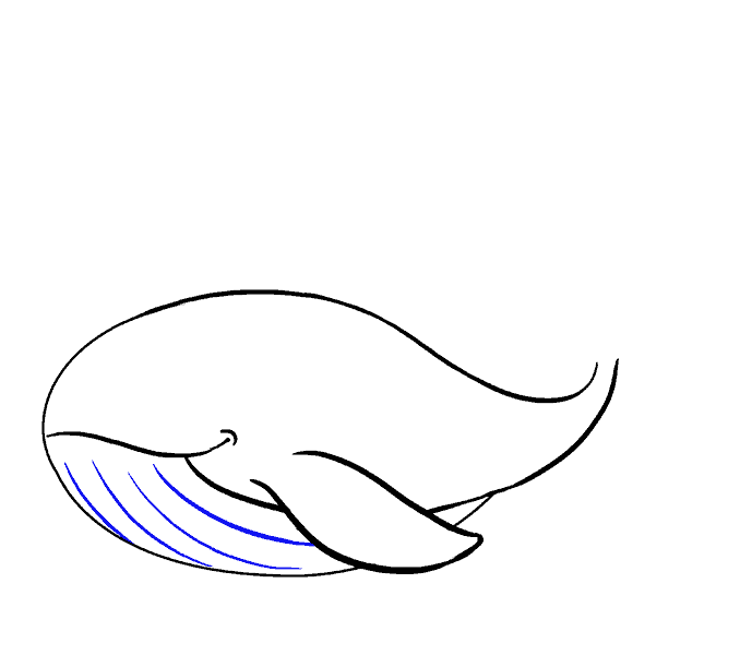 678x600 How To Draw A Whale In A Few Easy Steps Easy Drawing Guides - Blue Whale Drawing