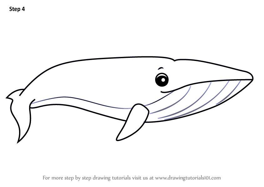 844x598 learn how to draw a cartoon blue whale - Blue Whale Drawing