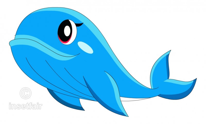 800x480 little blue whale vector drawing with adobe flash - Blue Whale Drawing