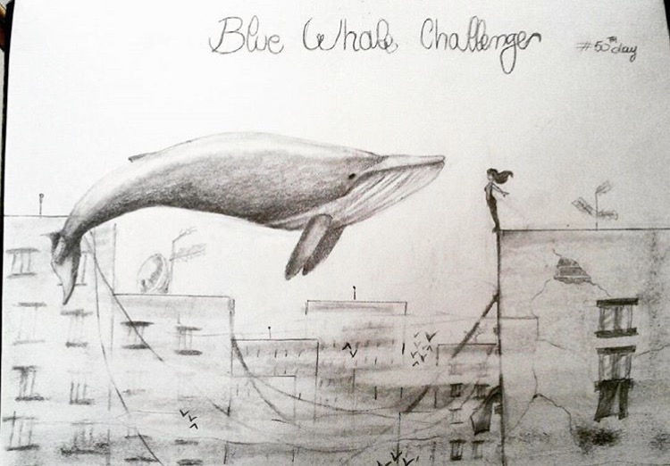 750x522 the blue whale challenge mamabear app - Blue Whale Drawing