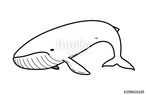 500x326 blue whale cartoon doodle, a hand drawn vector doodle illustration - Blue Whale Line Drawing