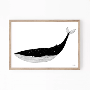 Blue Whale Line Drawing at PaintingValley.com | Explore collection of ...