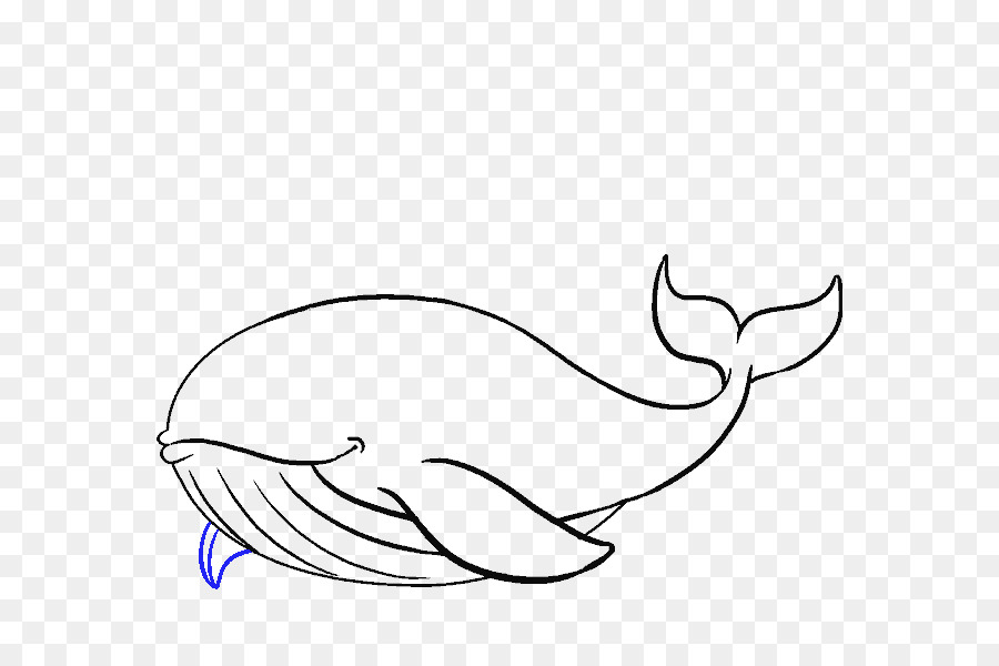 900x600 Drawing, Painting, Cartoon, Transparent Png Image Clipart Free - Blue Whale Line Drawing