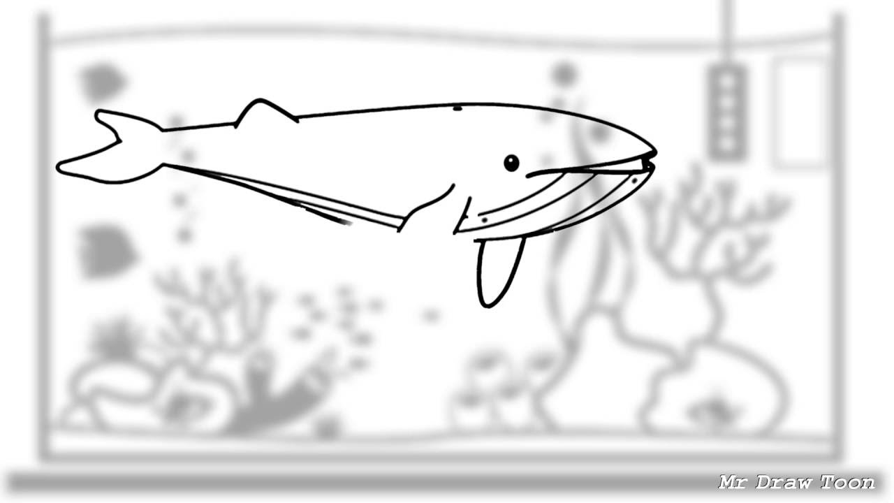 1280x720 how to draw blue whale - Blue Whale Line Drawing