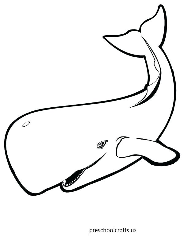 600x776 Whale Coloring - Blue Whale Line Drawing