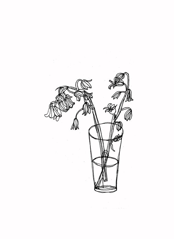 570x784 Bluebell Flower Drawing - Bluebell Drawing