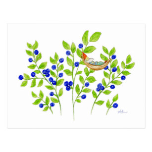 307x307 blueberry bush postcards zazzle - Blueberry Bush Drawing