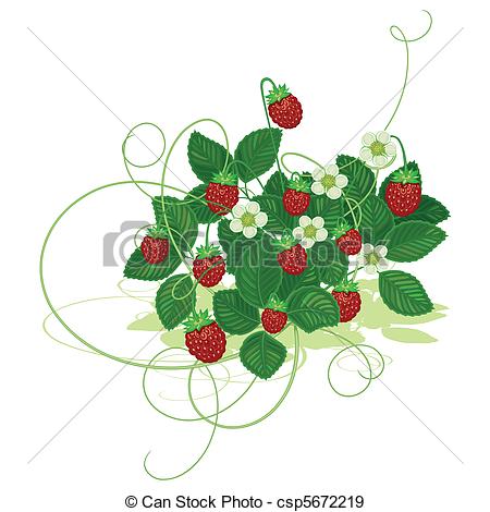 450x470 blueberry bushes clipart - Blueberry Bush Drawing