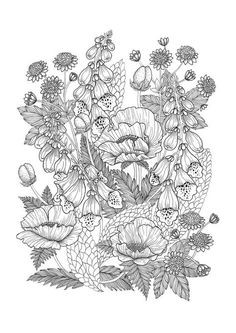 236x333 unique blueberry bush coloring pages - Blueberry Bush Drawing