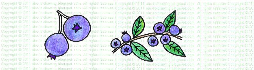 864x240 abc to drawing blueberry - Blueberry Bush Drawing