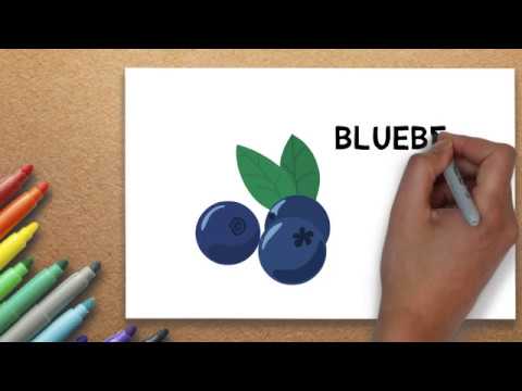 480x360 blueberry drawing how to draw a blueberry step - Blueberry Drawing