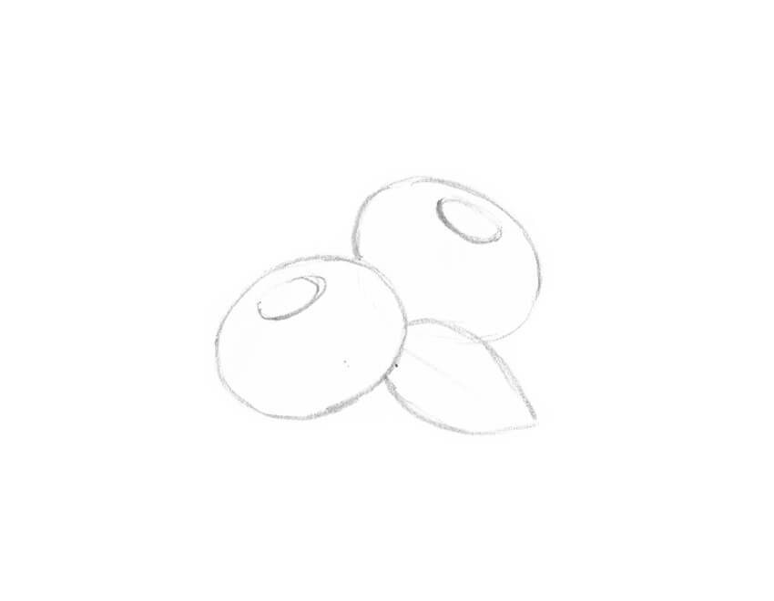 850x660 How To Draw Different Varieties Of Berry - Blueberry Drawing