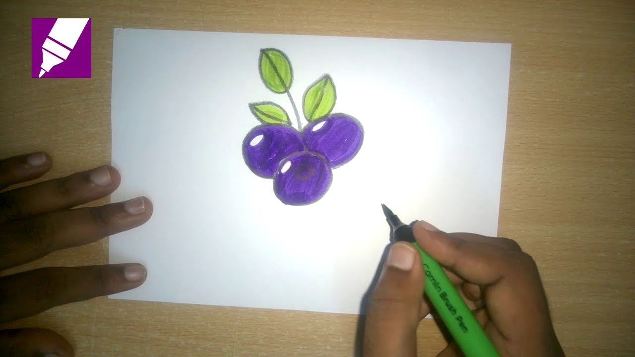 1280x720 how to draw a blueberry how to draw fruits easy step - Blueberry Drawing