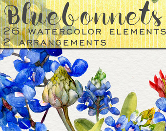 340x270 texas bluebonnet clipart collection - Bluebonnet Flower Drawing