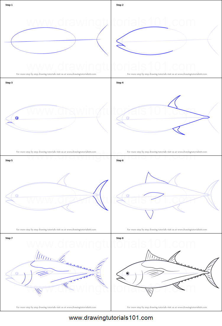 751x1103 how to draw an atlantic bluefin tuna printable step - Bluefin Tuna Drawing