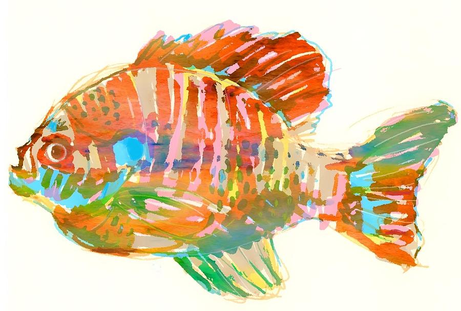900x608 bluegill sunfish drawing - Bluegill Drawing