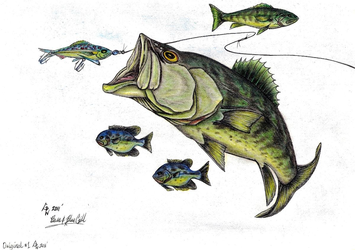 1200x846 big bass and bluegill fishing original drawing drawing - Bluegill Drawing